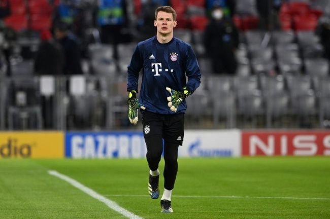 蛇有两个根茎吗图片